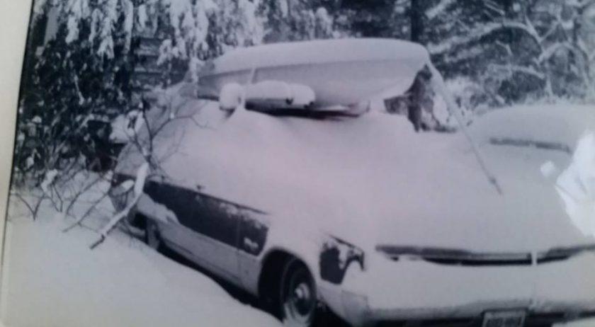 Thunder Chicken Winter