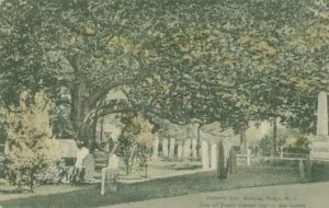 BR Oak c1909