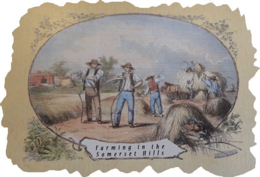 Somerset Hills Farming