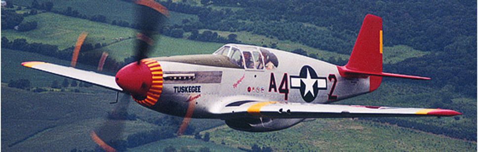 Retrospective: Robert Terry - Tuskegee Airmen and Basking Ridge Pilot ...