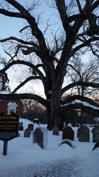 2016 Great Snow Storm 26 scaled