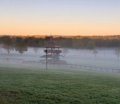 FH Race 2019 Mr Local History Project