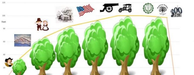 History of the Great Basking Ridge Oak Tree