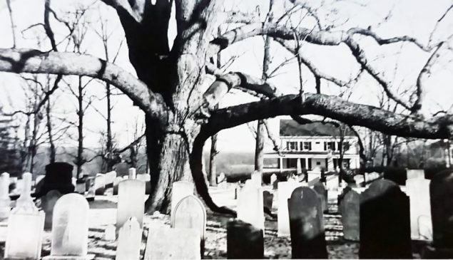 BR 1953 Panel Art Photographs HSSH