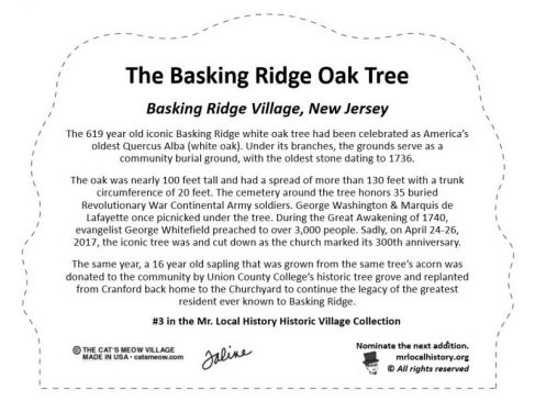 Basking Ridge Oak Tree Back UPDATE Mr Local History
