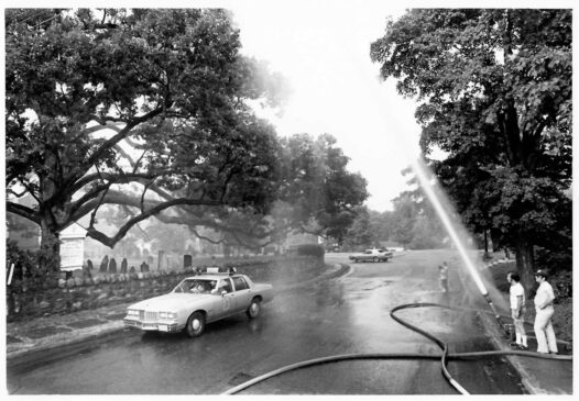 Basking Ridge Tree Watering