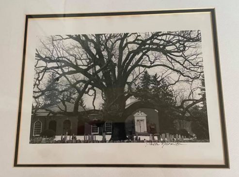 OakTree Painting Tara Williamson