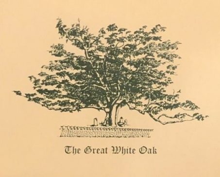 The Great White Oak