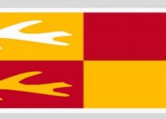 History of The Official Bernards Township Flag
