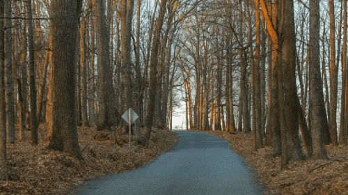 Jacobs Ladder Mr Local History