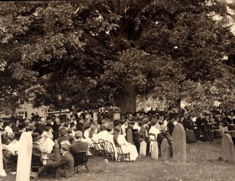 BR Churchyard Tree c1910