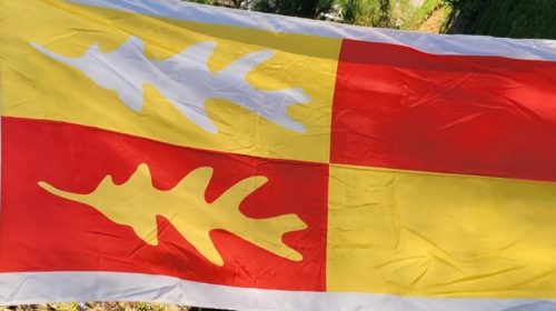 Barnards Township Flag Banner