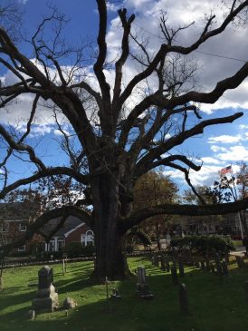 Charlene Hall Submission 2021