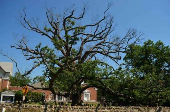 Erik Antone Submission