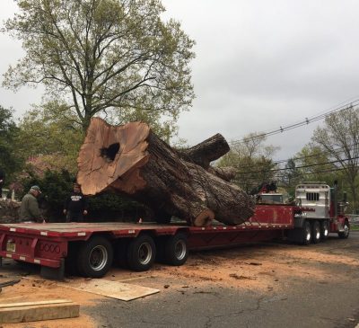 Jody Tomaro Jacobus submission