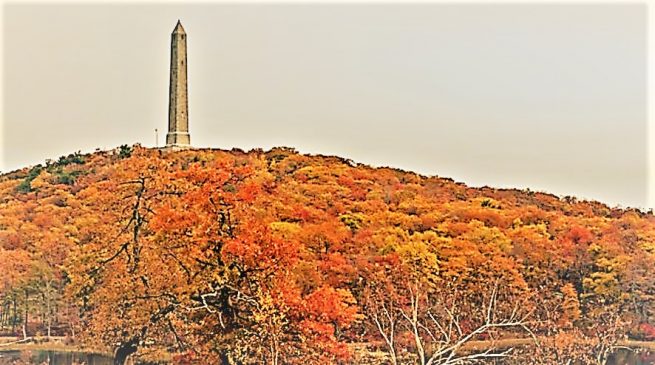 High Point Towner in Fall