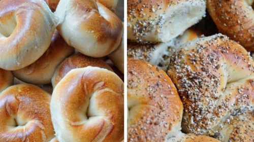 O Bagel Jersey bagels