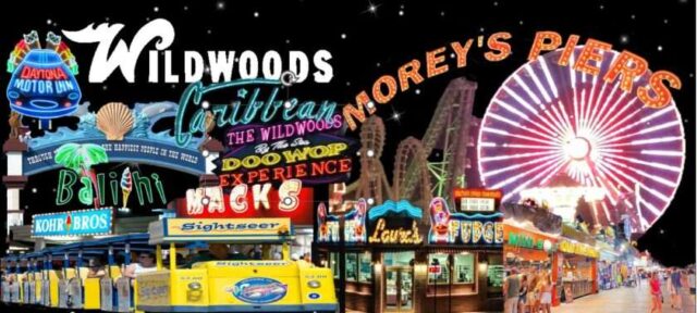 Wildwood Cats Meow