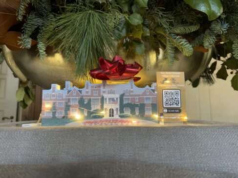 IMG 6944 1.jpg scaled