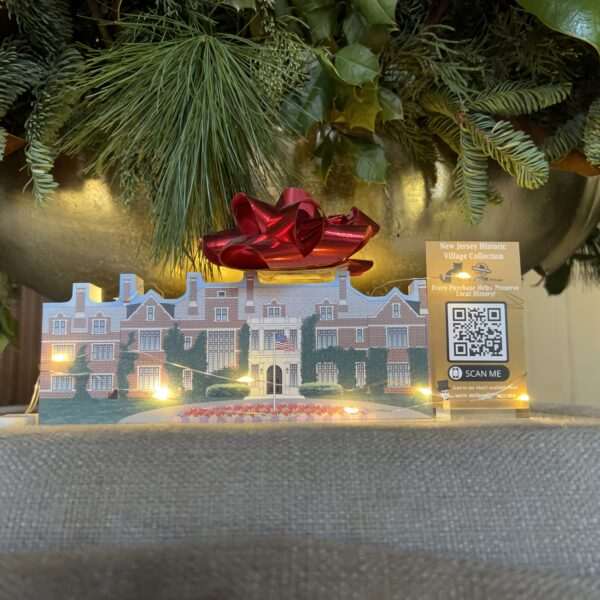 IMG 6944 1.jpg scaled