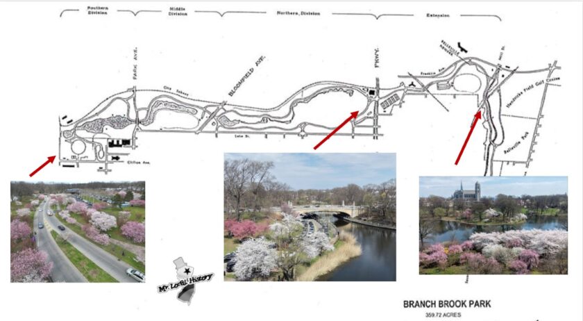 Bramch Brook Park Map Mr. Local History