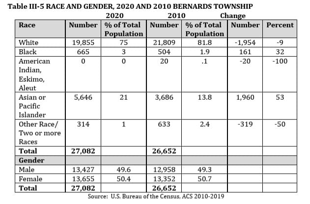 Bernards Township Master Plan 2023 Race and Gender Table Mr Local History