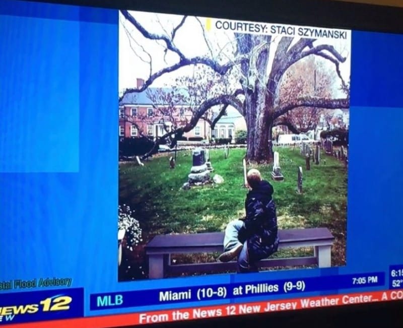 Tree on TV Brushs Deli 2017