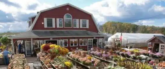 Alstead Farms Chester