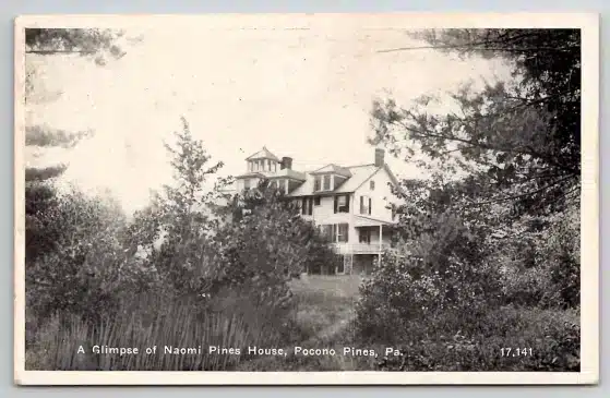 Lake Naomi Postcard Naomi Pines House