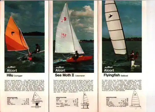 amf hiluseamothflying fish