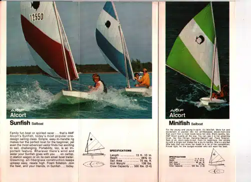 amf sunfish minifish 1 scaled