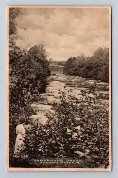 1910 Postcard Dam and Falls