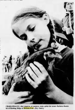 1976 Kiwanis Fair Chickens Mr Local History Project Basking Ridge
