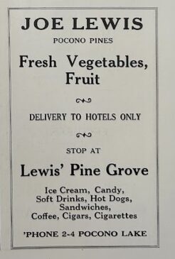 Joe Lewis Vegetable Market Ad