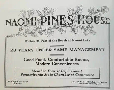 Naomi Pines House advertisement