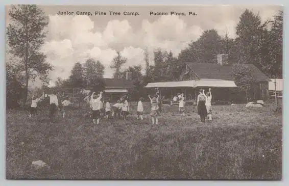Pine Tree Camp Pocono Pines PA Postcard