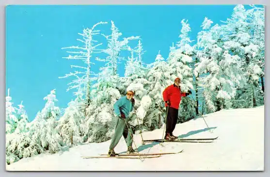 Pocono Mountains PA Winter Scene Skiing Snow Ski Pines