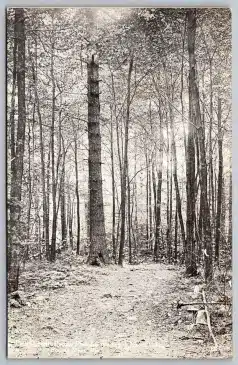 Pocono Pines Inn walking path