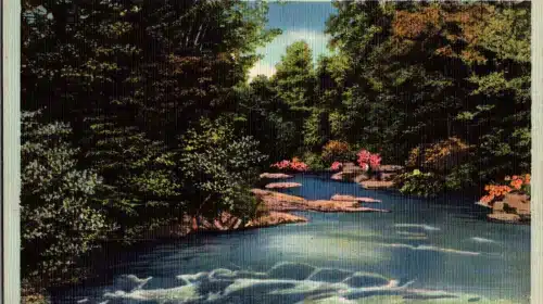 Pocono Pines Postcard