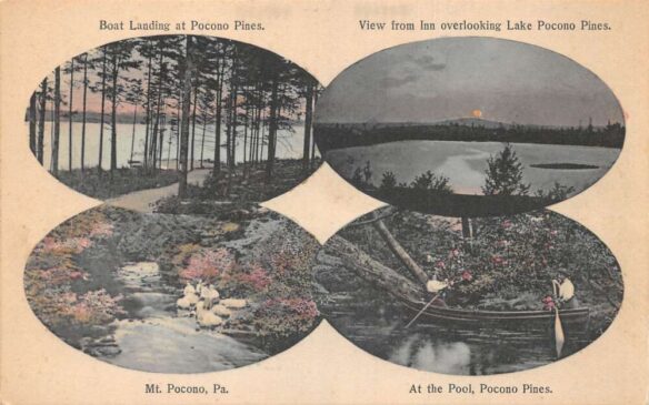 Postcard Early Pocono Pines