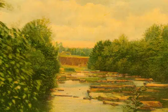 Tobyhanna Creek Dammed Postcard colorized Mr Local History