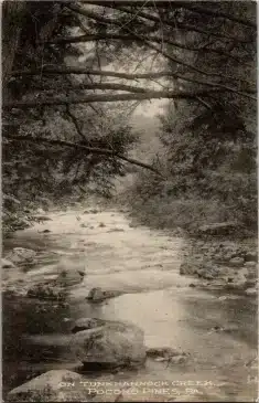 Tunkhannock Creek Pocono Pines PA Vintage Postcard