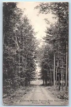 1910 Pocono Pines Pennsylvania Vintage Postcard University Avenue Pines Assembly