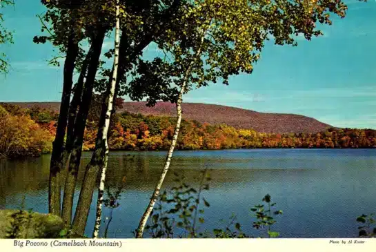 Big Pocono Camelback Postcard