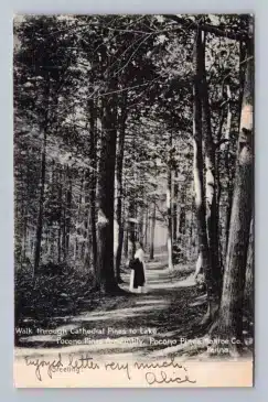 Cathedral Pines Walk POCONO PINES Assembly Antique Monroe County Pennsylvania