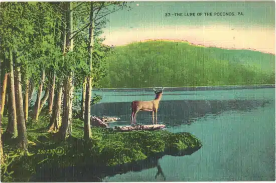 Lure of the Poconos Postcard