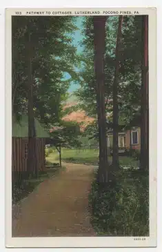 Pathway to Cottages Lutherland Pocono Pines Pennsylvania Postcard 1