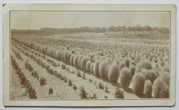 Pocono Lake Panmure Seed Gardens Postcard Private Mailing Pennsylvania 1911