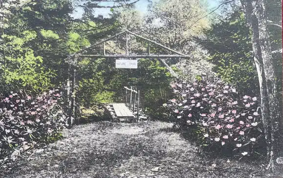 Pocono Pines PA Nature Trail LUTHERLAND 1900s