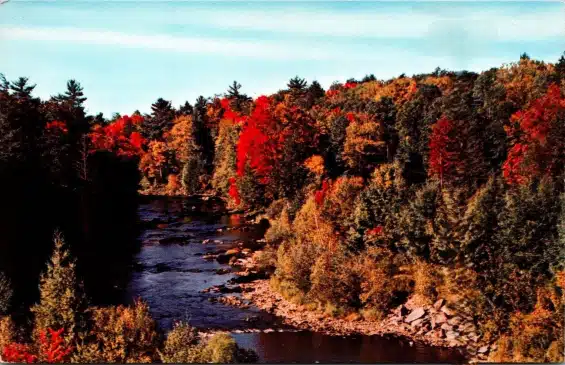 Postcard Autumn View of Tobyhanna Creek Pocono Lake Preserve PA 1